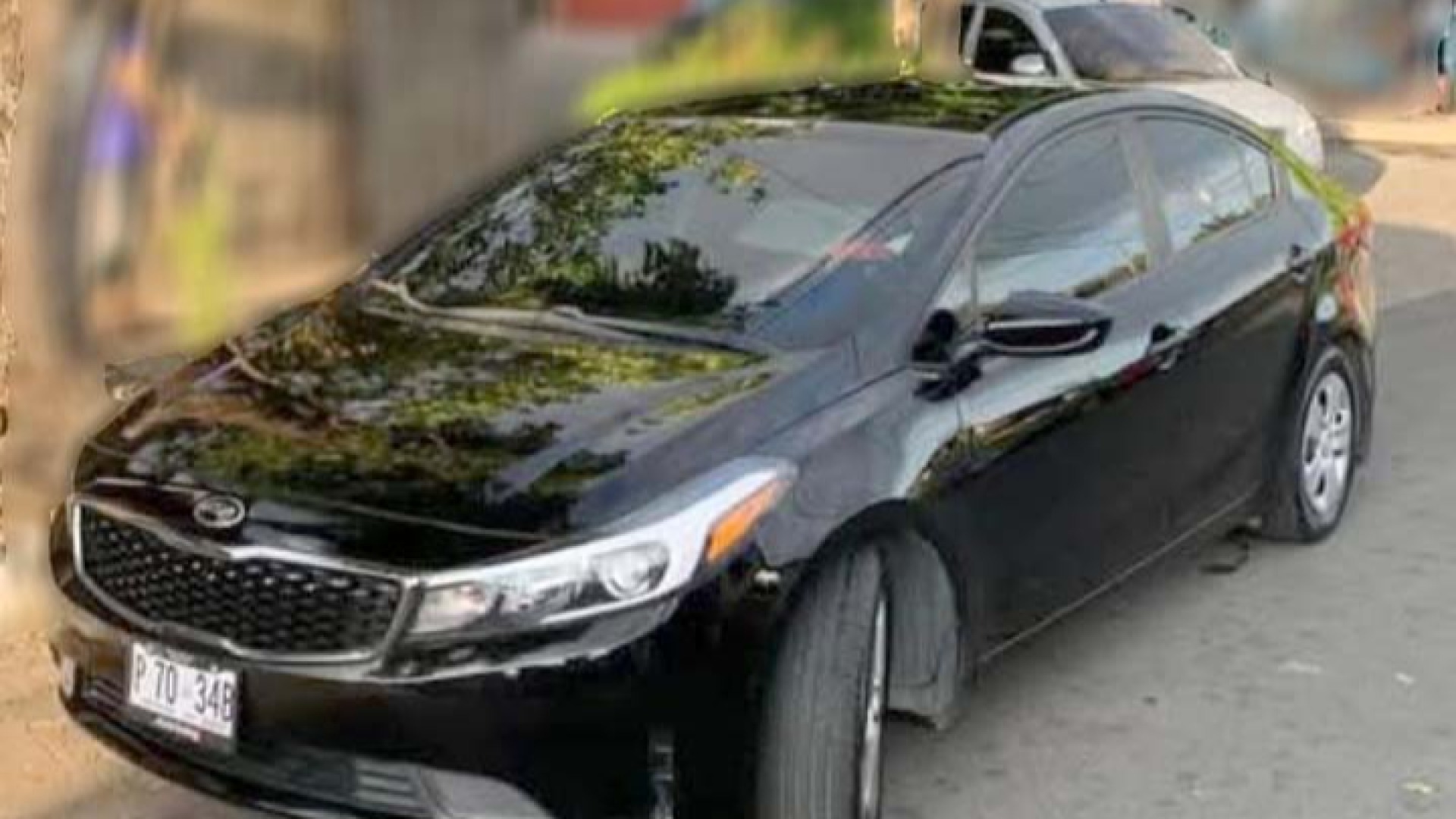 $30.00 Día / $18.00 12 horas