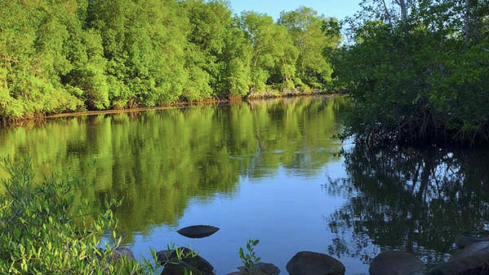Casa y Estero San José de la Montaña
