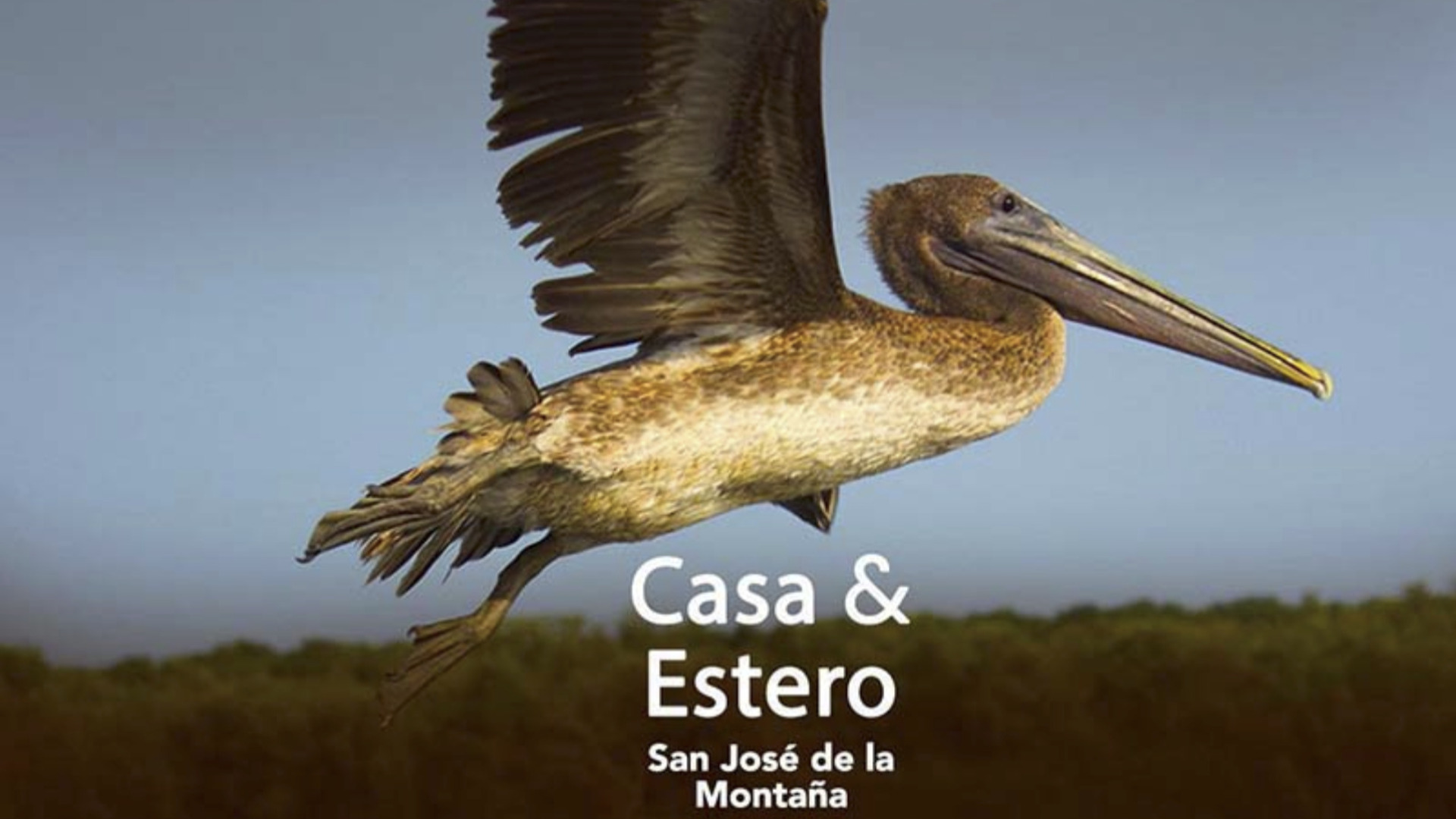 Casa y Estero San José de la Montaña