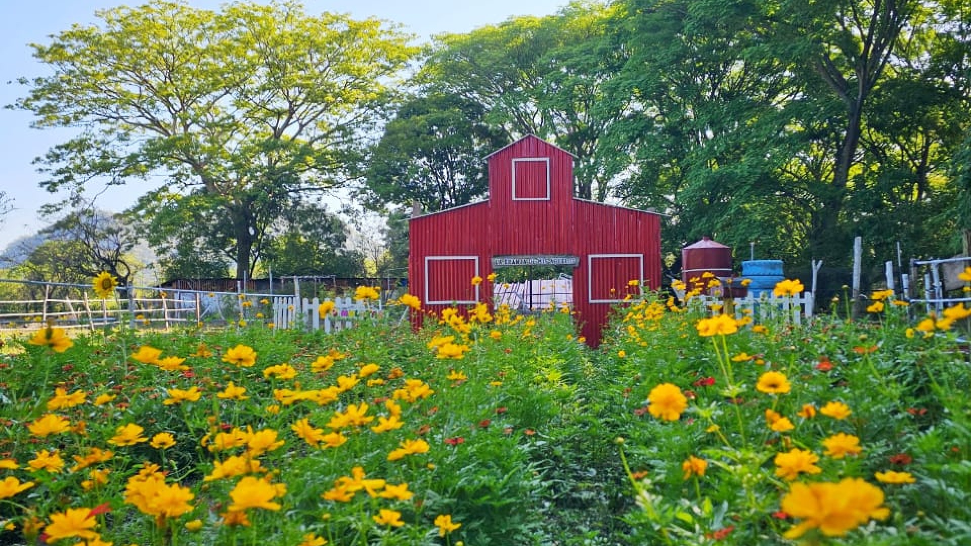 La Granja de Mis Abuelos