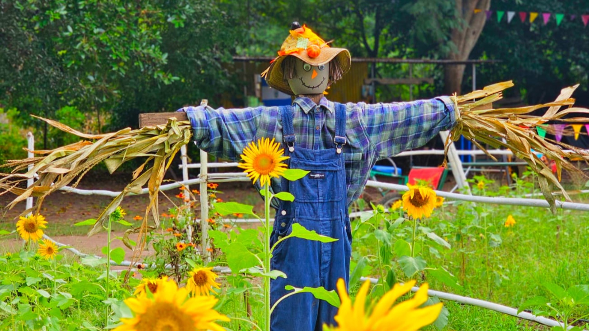 La Granja de Mis Abuelos