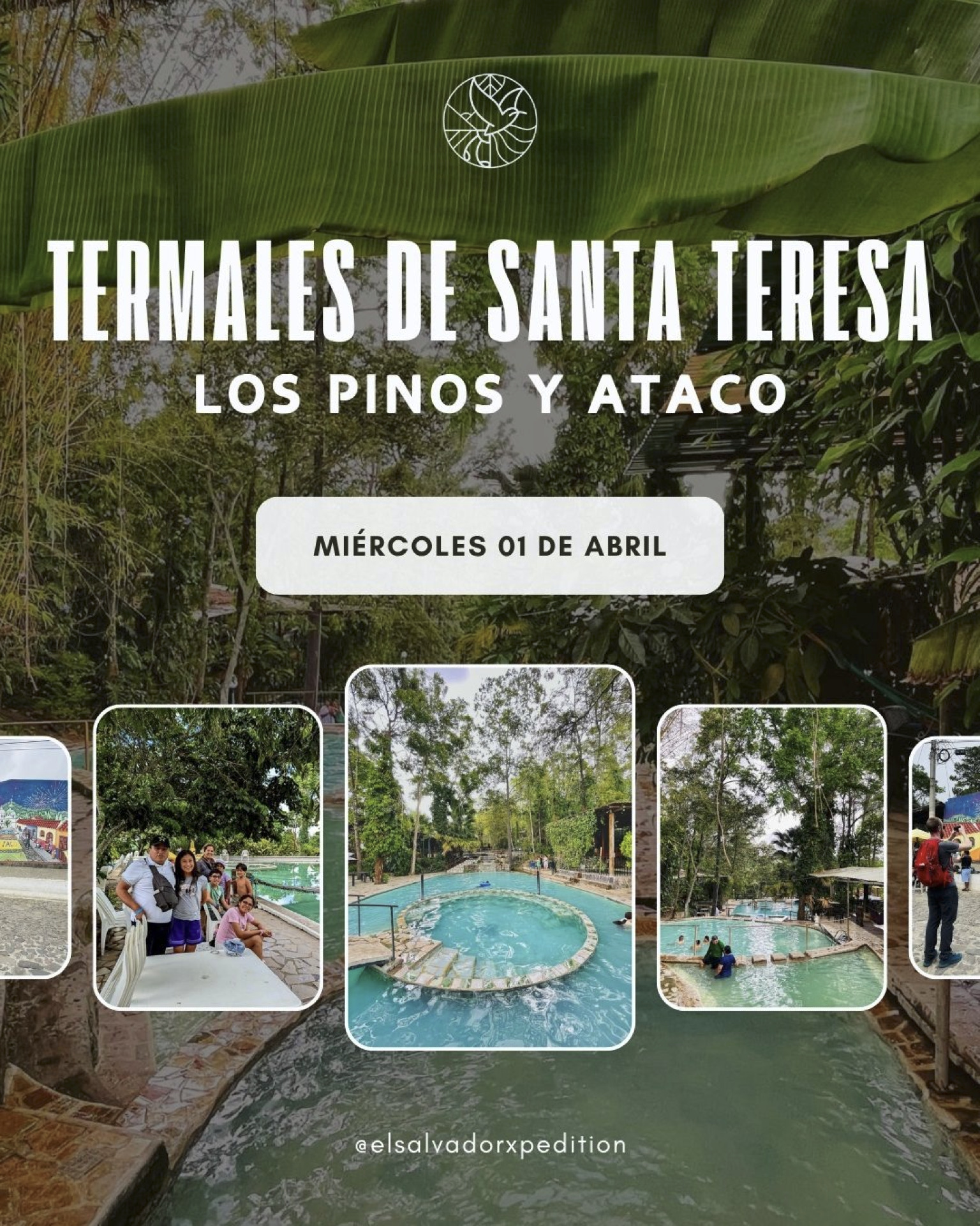 Los mejores Tours !!