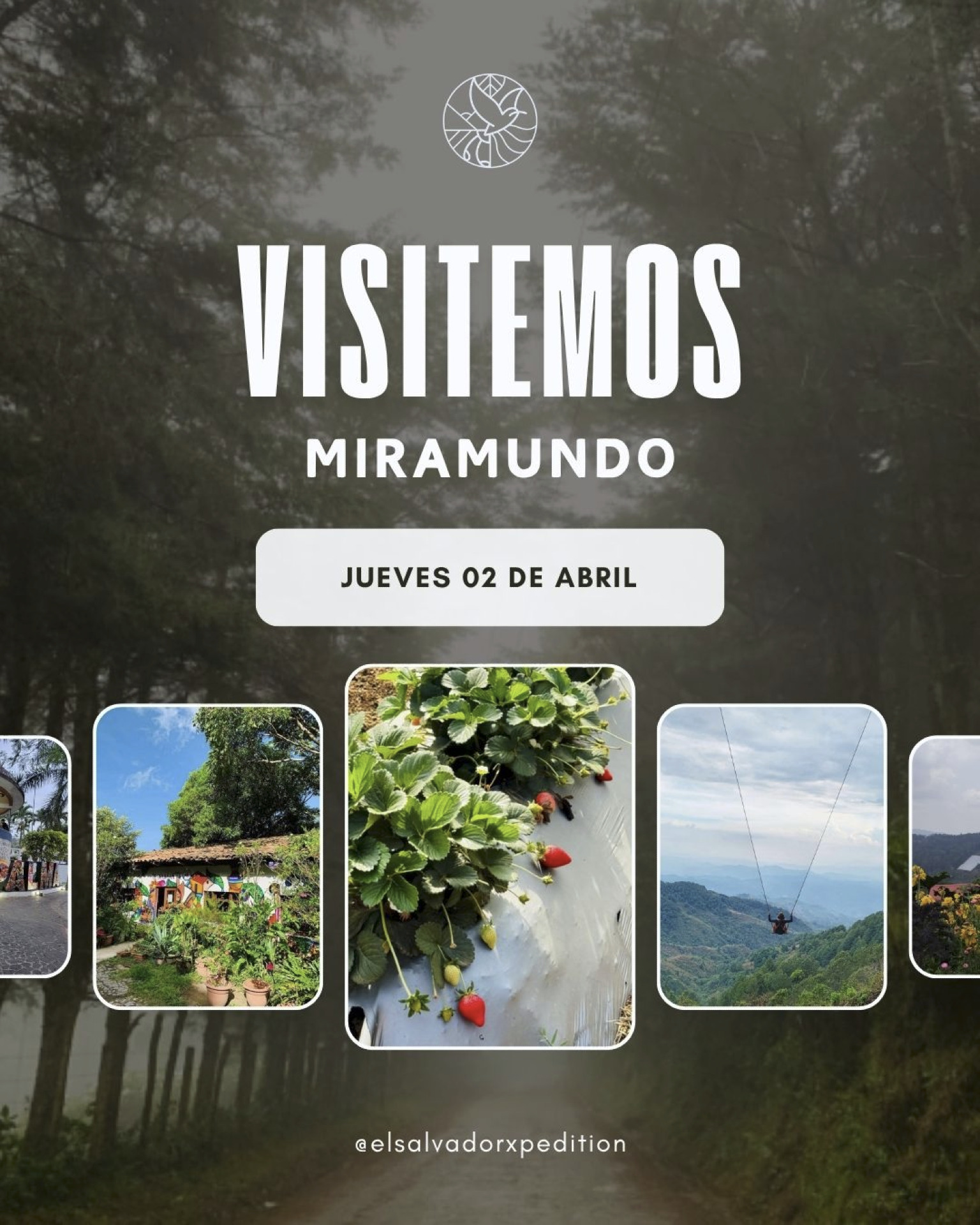 Los mejores Tours !!