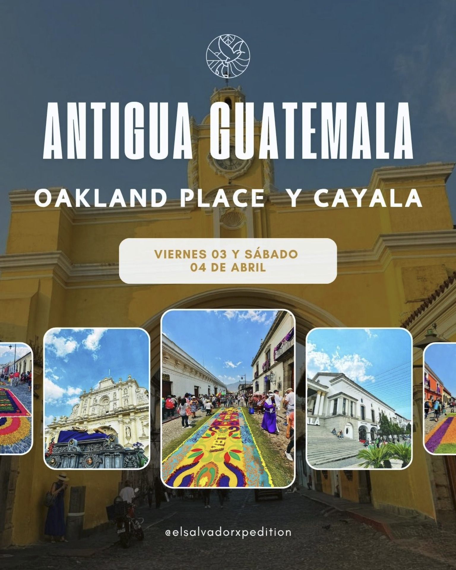 Los mejores Tours !!